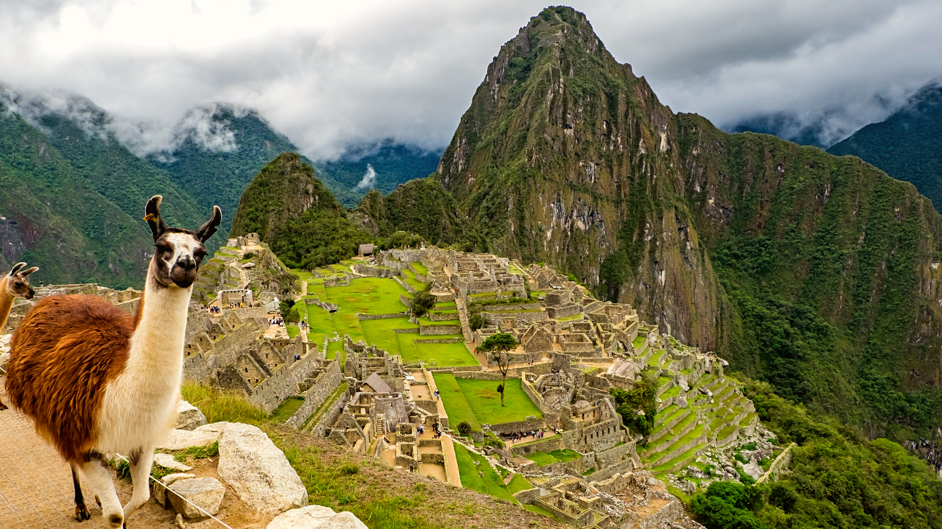 Overview of Machu Picchu