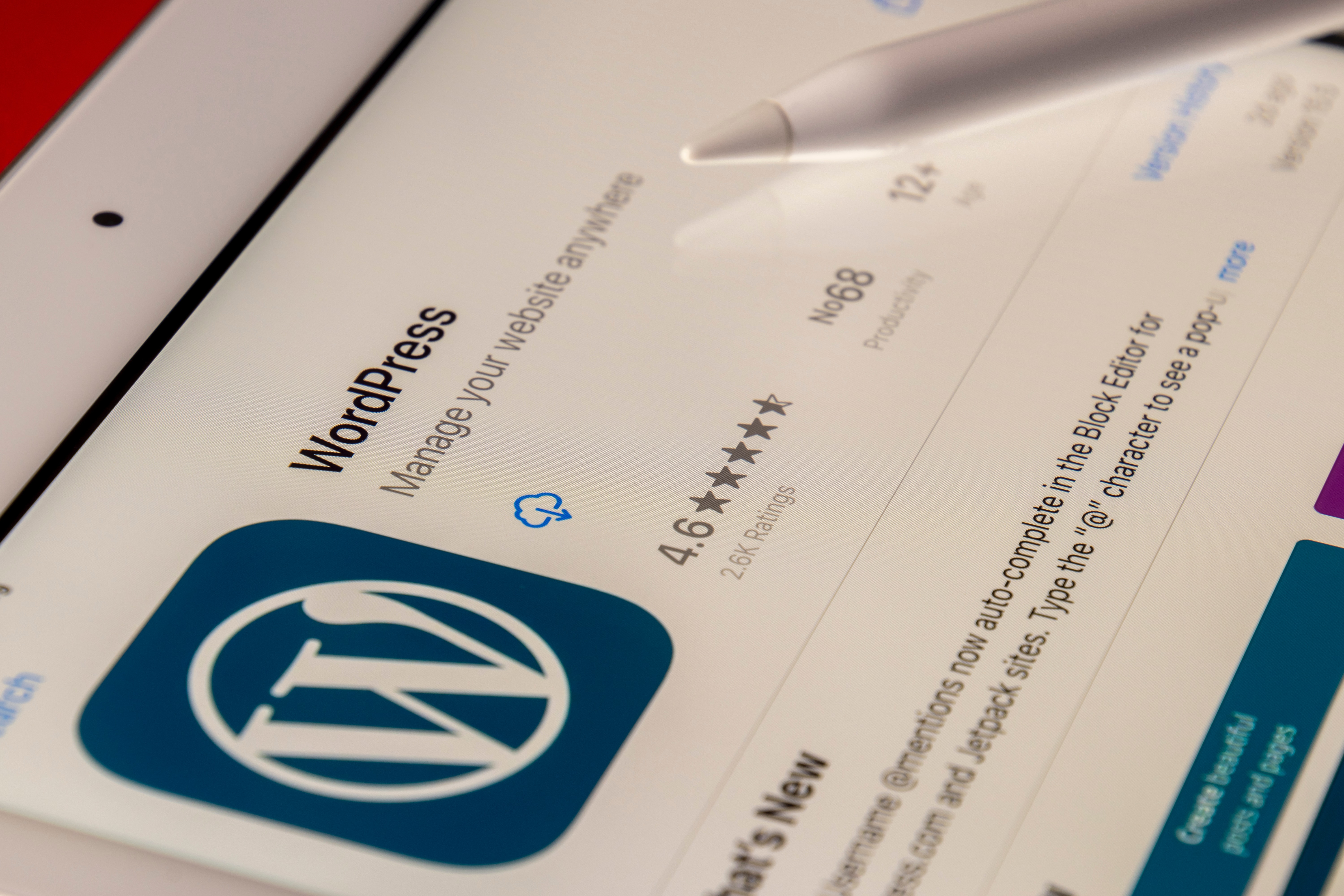 Wordpress vs Magento For eCommerce