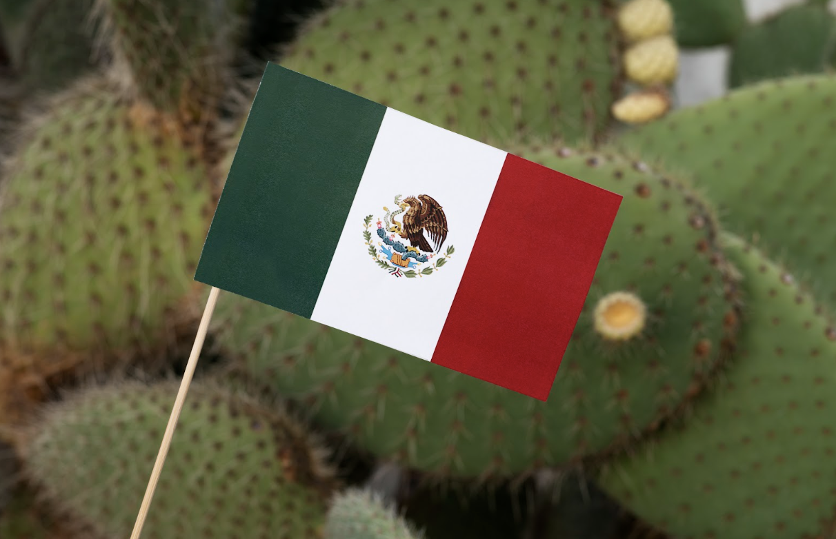  Image for How To Set Up a Development Center in Mexico