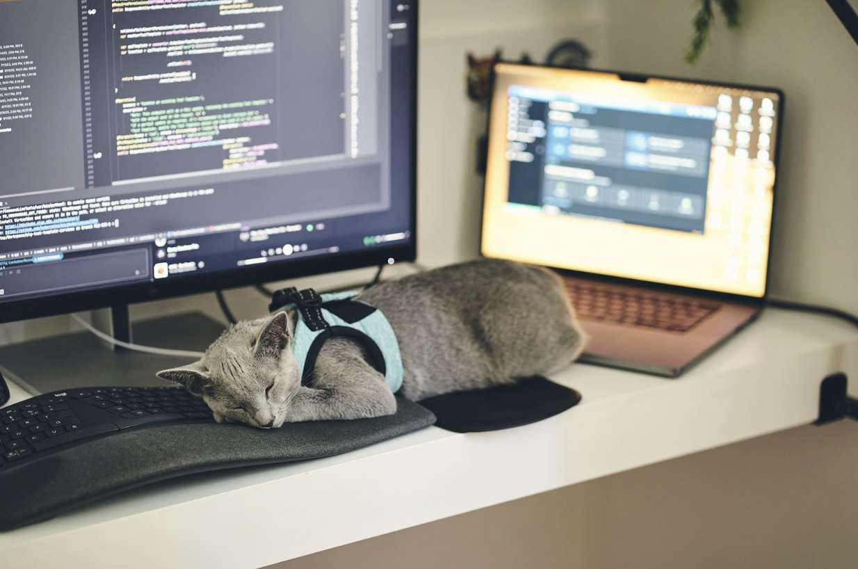How To Hire Developers Online (Remote Staffing Guide!)